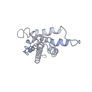 9976_6kgx_K1_v1-1
Structure of the phycobilisome from the red alga Porphyridium purpureum