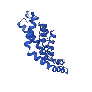 9976_6kgx_K2_v1-1
Structure of the phycobilisome from the red alga Porphyridium purpureum