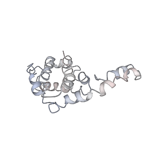 9976_6kgx_K3_v1-1
Structure of the phycobilisome from the red alga Porphyridium purpureum