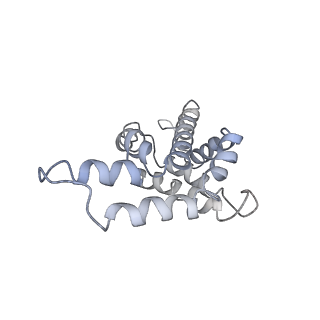 9976_6kgx_K4_v1-1
Structure of the phycobilisome from the red alga Porphyridium purpureum