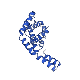 9976_6kgx_K6_v1-1
Structure of the phycobilisome from the red alga Porphyridium purpureum