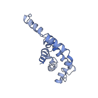 9976_6kgx_K7_v1-1
Structure of the phycobilisome from the red alga Porphyridium purpureum