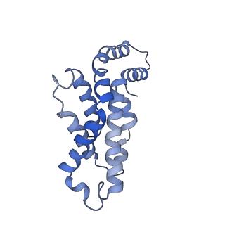 9976_6kgx_K8_v1-1
Structure of the phycobilisome from the red alga Porphyridium purpureum