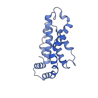 9976_6kgx_KA_v1-1
Structure of the phycobilisome from the red alga Porphyridium purpureum