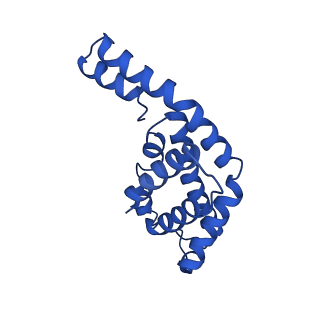 9976_6kgx_KB_v1-1
Structure of the phycobilisome from the red alga Porphyridium purpureum