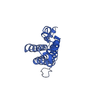 9976_6kgx_KC_v1-1
Structure of the phycobilisome from the red alga Porphyridium purpureum