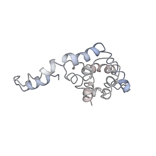 9976_6kgx_KD_v1-1
Structure of the phycobilisome from the red alga Porphyridium purpureum