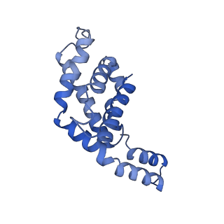 9976_6kgx_KE_v1-1
Structure of the phycobilisome from the red alga Porphyridium purpureum