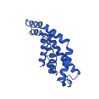 9976_6kgx_KI_v1-1
Structure of the phycobilisome from the red alga Porphyridium purpureum