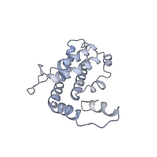 9976_6kgx_KJ_v1-1
Structure of the phycobilisome from the red alga Porphyridium purpureum