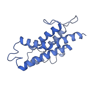 9976_6kgx_L5_v1-1
Structure of the phycobilisome from the red alga Porphyridium purpureum