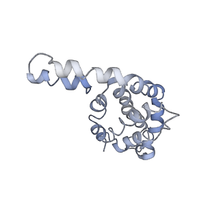 9976_6kgx_L9_v1-1
Structure of the phycobilisome from the red alga Porphyridium purpureum