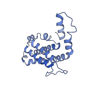 9976_6kgx_LA_v1-1
Structure of the phycobilisome from the red alga Porphyridium purpureum