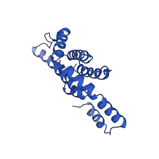 9976_6kgx_LB_v1-1
Structure of the phycobilisome from the red alga Porphyridium purpureum