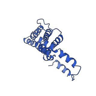 9976_6kgx_LG_v1-1
Structure of the phycobilisome from the red alga Porphyridium purpureum