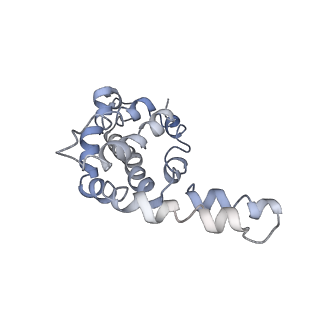 9976_6kgx_LJ_v1-1
Structure of the phycobilisome from the red alga Porphyridium purpureum