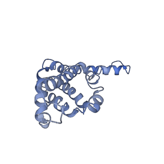 9976_6kgx_M3_v1-1
Structure of the phycobilisome from the red alga Porphyridium purpureum
