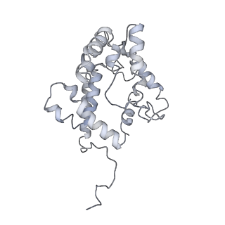 9976_6kgx_M4_v1-1
Structure of the phycobilisome from the red alga Porphyridium purpureum