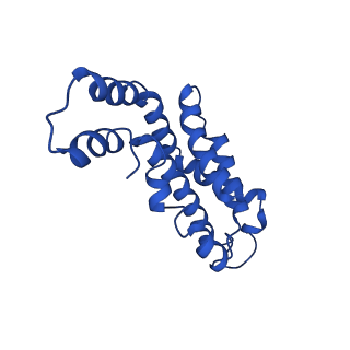 9976_6kgx_M6_v1-1
Structure of the phycobilisome from the red alga Porphyridium purpureum