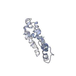 9976_6kgx_M7_v1-1
Structure of the phycobilisome from the red alga Porphyridium purpureum