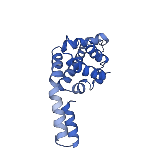 9976_6kgx_M8_v1-1
Structure of the phycobilisome from the red alga Porphyridium purpureum