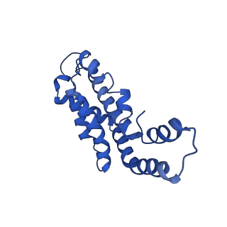 9976_6kgx_MB_v1-1
Structure of the phycobilisome from the red alga Porphyridium purpureum
