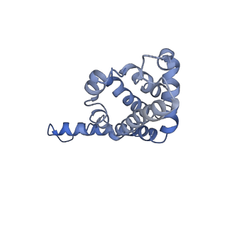 9976_6kgx_MD_v1-1
Structure of the phycobilisome from the red alga Porphyridium purpureum