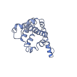 9976_6kgx_ME_v1-1
Structure of the phycobilisome from the red alga Porphyridium purpureum