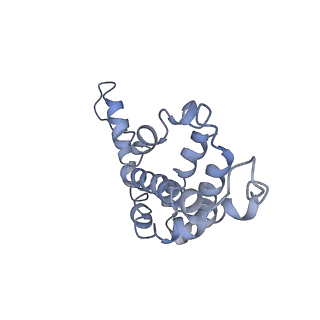 9976_6kgx_MG_v1-1
Structure of the phycobilisome from the red alga Porphyridium purpureum