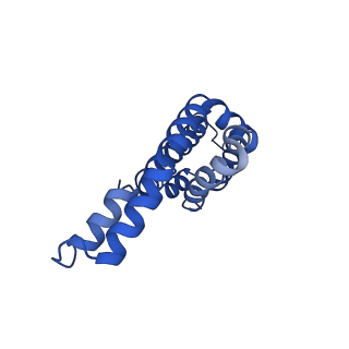 9976_6kgx_MH_v1-1
Structure of the phycobilisome from the red alga Porphyridium purpureum