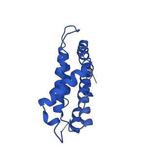 9976_6kgx_N2_v1-1
Structure of the phycobilisome from the red alga Porphyridium purpureum
