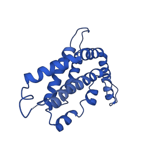 9976_6kgx_N6_v1-1
Structure of the phycobilisome from the red alga Porphyridium purpureum