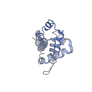 9976_6kgx_N7_v1-1
Structure of the phycobilisome from the red alga Porphyridium purpureum