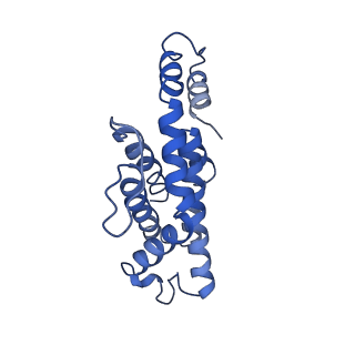 9976_6kgx_N8_v1-1
Structure of the phycobilisome from the red alga Porphyridium purpureum