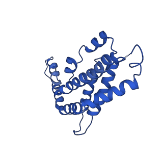 9976_6kgx_NB_v1-1
Structure of the phycobilisome from the red alga Porphyridium purpureum