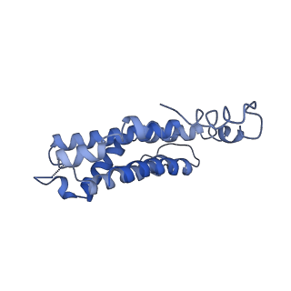 9976_6kgx_ND_v1-1
Structure of the phycobilisome from the red alga Porphyridium purpureum