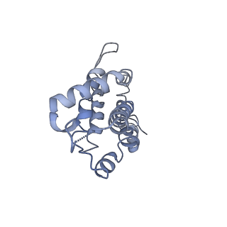 9976_6kgx_NF_v1-1
Structure of the phycobilisome from the red alga Porphyridium purpureum