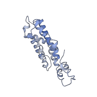 9976_6kgx_NG_v1-1
Structure of the phycobilisome from the red alga Porphyridium purpureum