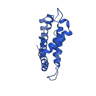 9976_6kgx_NI_v1-1
Structure of the phycobilisome from the red alga Porphyridium purpureum