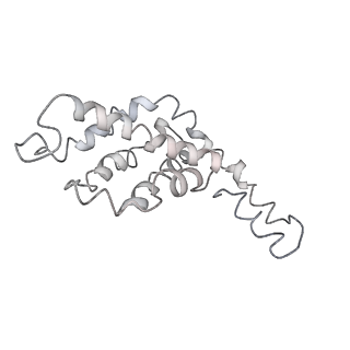 9976_6kgx_NJ_v1-1
Structure of the phycobilisome from the red alga Porphyridium purpureum