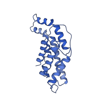 9976_6kgx_O1_v1-1
Structure of the phycobilisome from the red alga Porphyridium purpureum