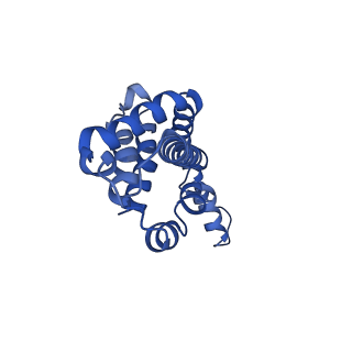 9976_6kgx_O2_v1-1
Structure of the phycobilisome from the red alga Porphyridium purpureum