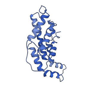 9976_6kgx_O4_v1-1
Structure of the phycobilisome from the red alga Porphyridium purpureum