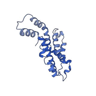 9976_6kgx_O6_v1-1
Structure of the phycobilisome from the red alga Porphyridium purpureum