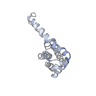 9976_6kgx_O7_v1-1
Structure of the phycobilisome from the red alga Porphyridium purpureum
