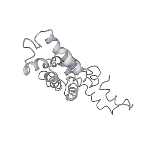 9976_6kgx_O9_v1-1
Structure of the phycobilisome from the red alga Porphyridium purpureum