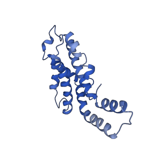 9976_6kgx_OB_v1-1
Structure of the phycobilisome from the red alga Porphyridium purpureum