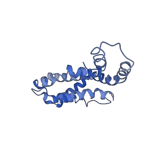 9976_6kgx_OD_v1-1
Structure of the phycobilisome from the red alga Porphyridium purpureum