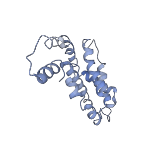 9976_6kgx_OE_v1-1
Structure of the phycobilisome from the red alga Porphyridium purpureum