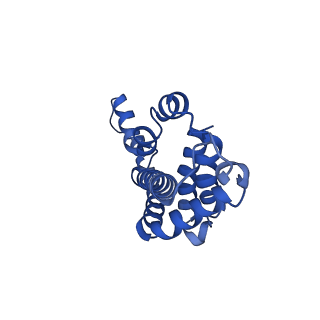 9976_6kgx_OI_v1-1
Structure of the phycobilisome from the red alga Porphyridium purpureum